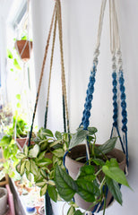 Sip + Make: Macrame Plant Hangers with Everything Elsie